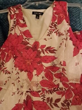 Roz & Ali Cream Midi Dress with Pink Floral Print